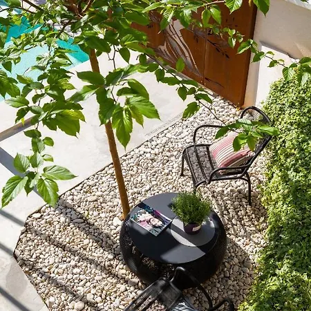 Scorpaena With Shared Pool Zadar